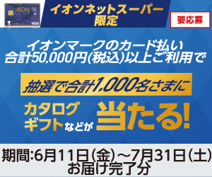 イオンネットスーパー