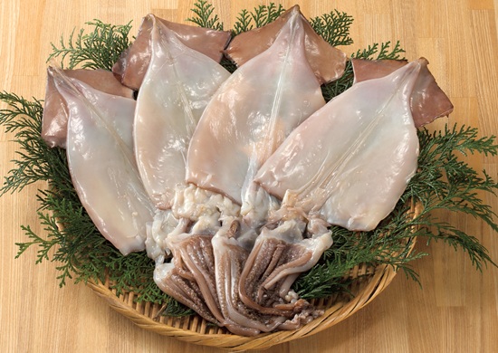 【グルメ旅47】新潟県「新潟名産　一夜干いか」を５人に