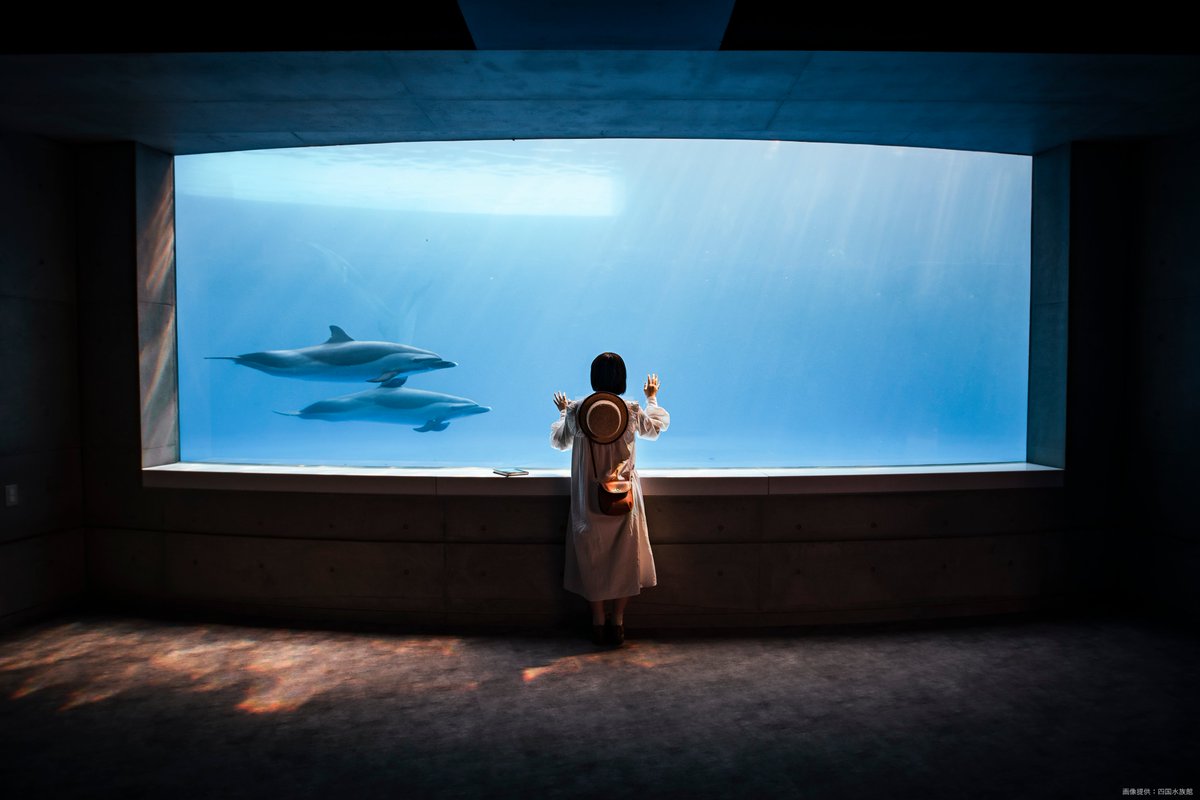 四国水族館（香川県）ペアチケットを１０組２０人にプレゼント