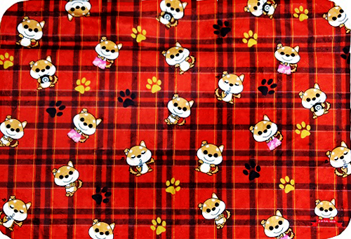 新着プレゼント画像