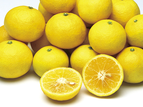 新着プレゼント画像